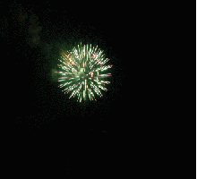 fireworks220